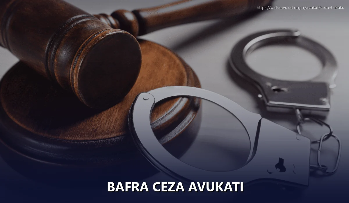 Bafra Ceza Avukatı